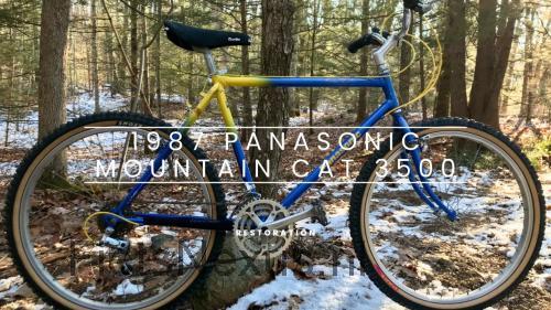 Panasonic Mountain Cat 3500 specificaties